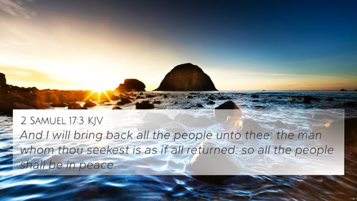 2 Samuel 17:3 KJV Bible Verse Image