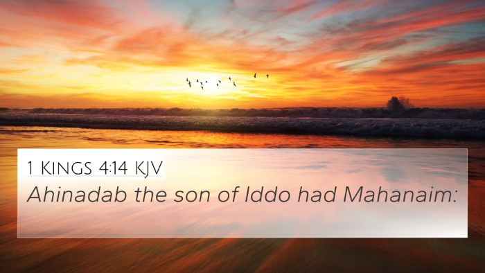 1 Kings 4:14 KJV Bible Verse Image