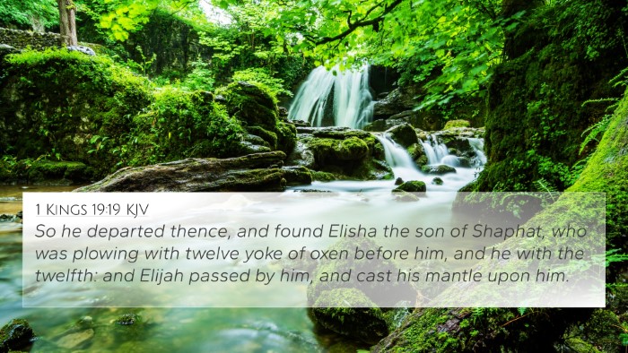 1 Kings 19:19 KJV Bible Verse Image