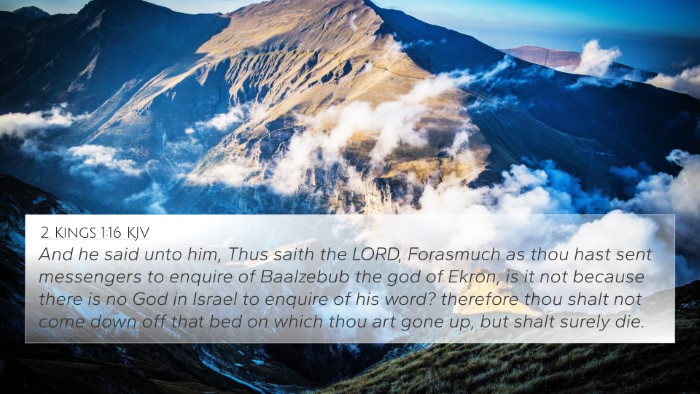 2 Kings 1:16 KJV Bible Verse Image