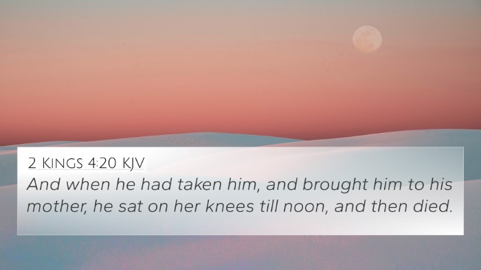 2 Kings 4:20 Explained