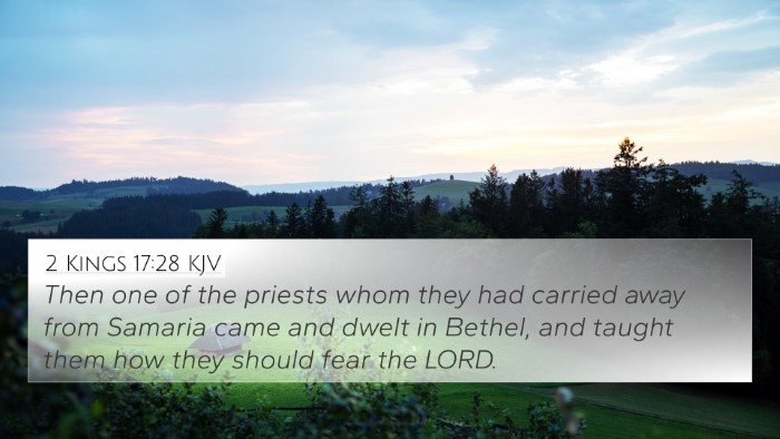 2 Kings 17:28 KJV Bible Verse Image