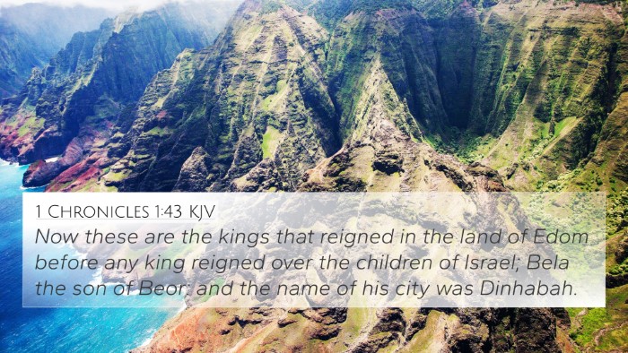1 Chronicles 1:43 KJV Bible Verse Image