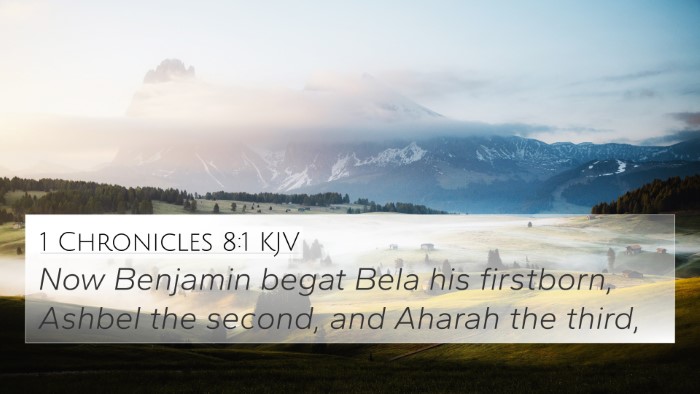 1 Chronicles 8:1 KJV Bible Verse Image