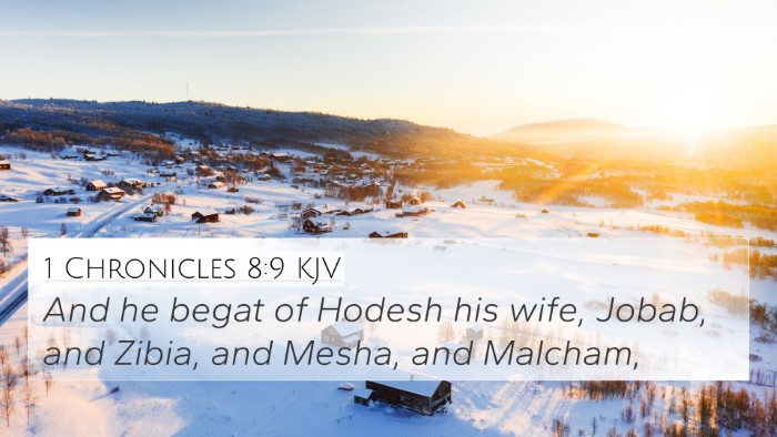 1 Chronicles 8:9 KJV Bible Verse Image