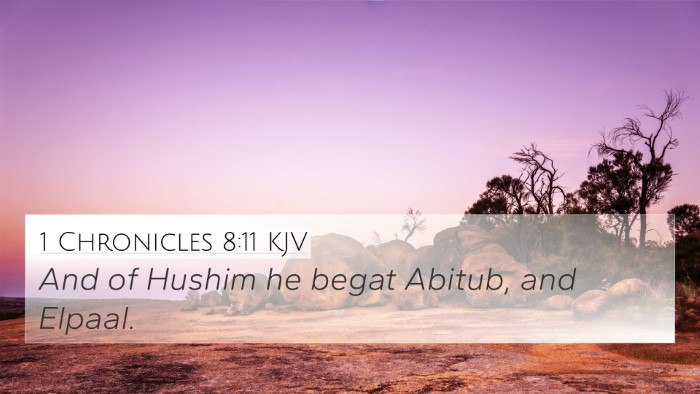 1 Chronicles 8:11 Explained
