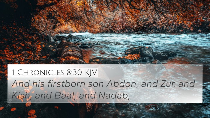 1 Chronicles 8:30 KJV Bible Verse Image