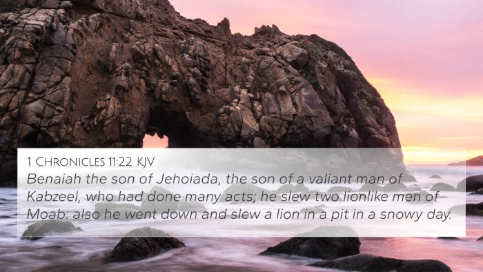 1 Chronicles 11:22 KJV Bible Verse Image