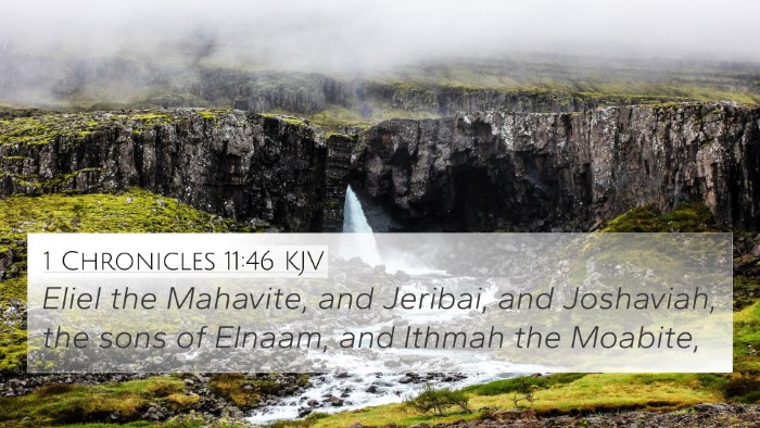 1 Chronicles 11:46 KJV Bible Verse Image
