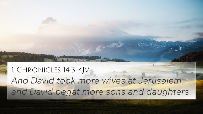 1 Chronicles 14:3 KJV Bible Verse Image