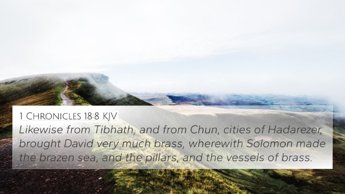 1 Chronicles 18:8 KJV Bible Verse Image