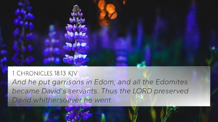 1 Chronicles 18:13 KJV Bible Verse Image