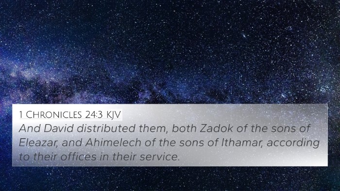 1 Chronicles 24:3 KJV Bible Verse Image