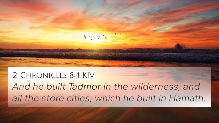 2 Chronicles 8:4 Explained