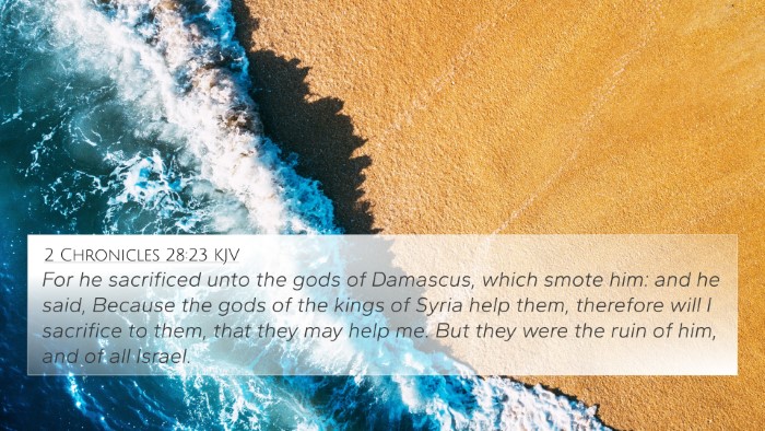 2 Chronicles 28:23 KJV Bible Verse Image