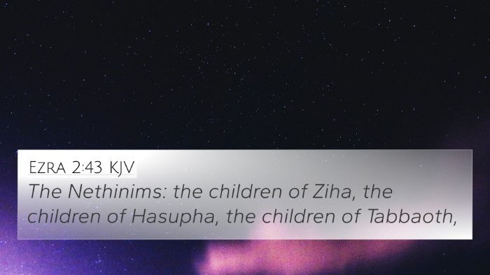Ezra 2:43 KJV Bible Verse Image
