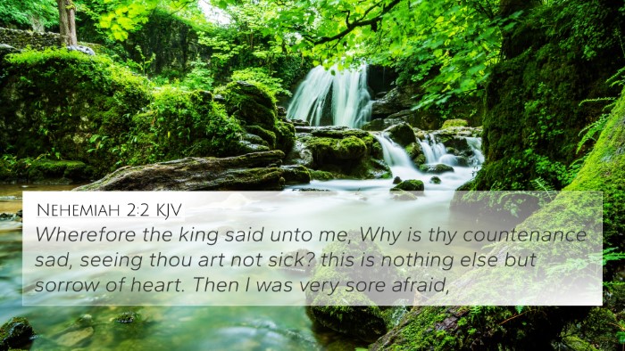 Nehemiah 2:2 Explained