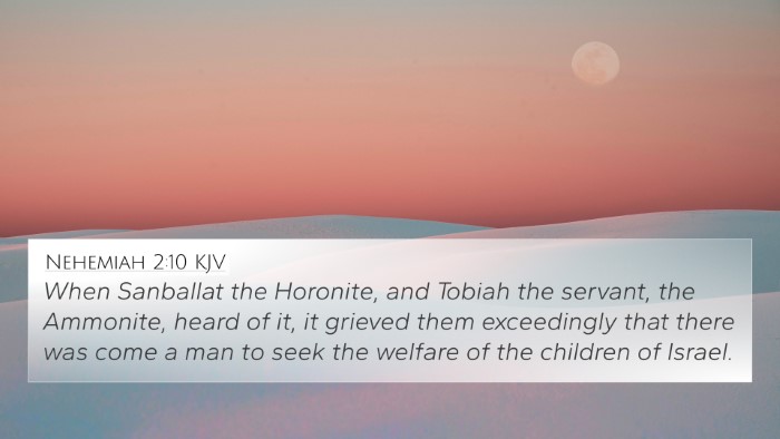 Nehemiah 2:10 KJV Bible Verse Image