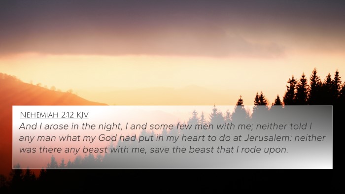 Nehemiah 2:12 KJV Bible Verse Image