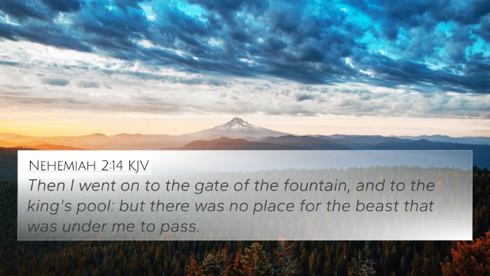 Nehemiah 2:14 Explained