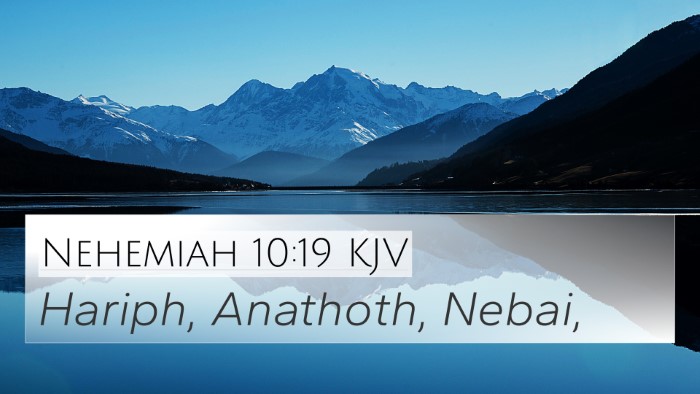 Nehemiah 10:19 Explained