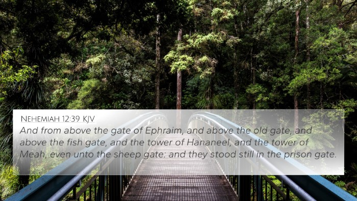 Nehemiah 12:39 KJV Bible Verse Image