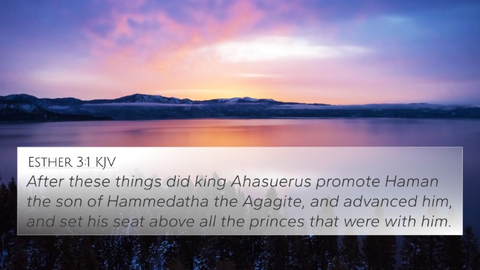 Esther 3:1 KJV Bible Verse Image