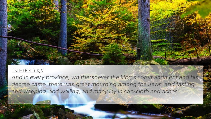 Esther 4:3 KJV Bible Verse Image