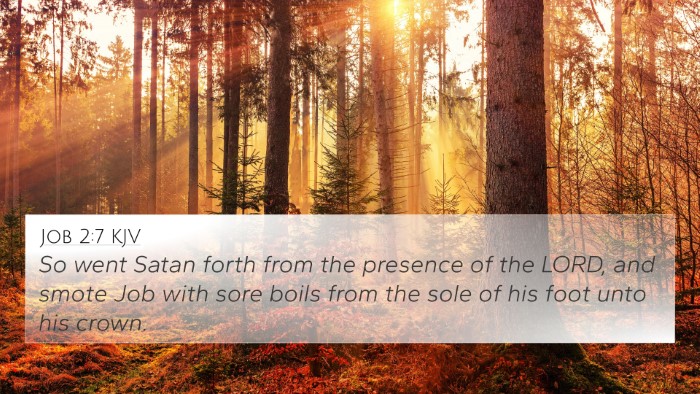 Job 2:7 KJV Bible Verse Image