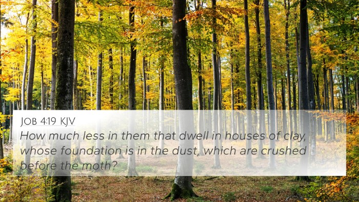 Job 4:19 KJV Bible Verse Image