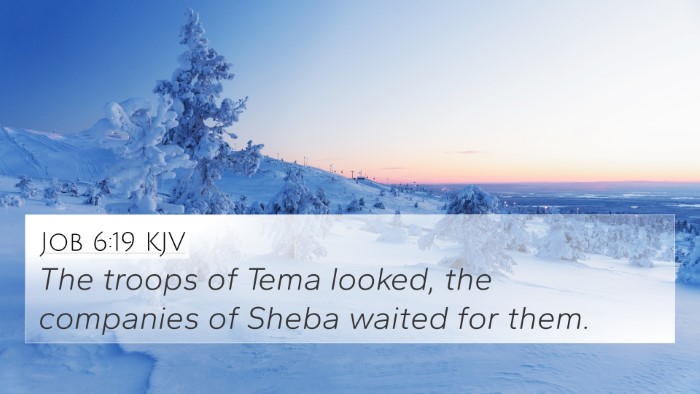 Job 6:19 KJV Bible Verse Image