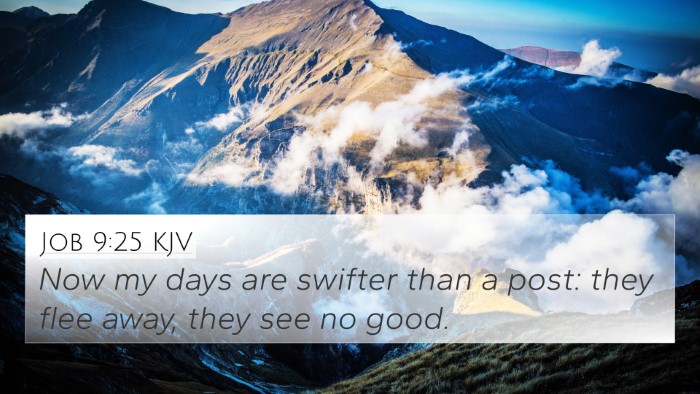 Job 9:25 KJV Bible Verse Image