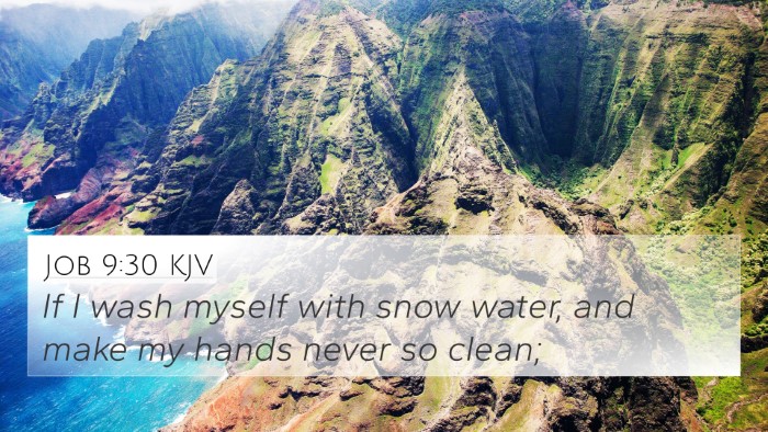 Job 9:30 KJV Bible Verse Image