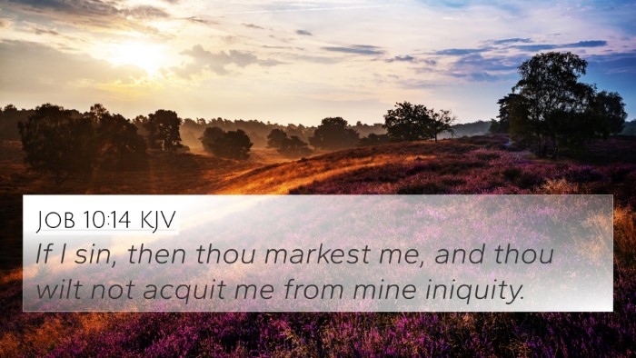Job 10:14 KJV Bible Verse Image