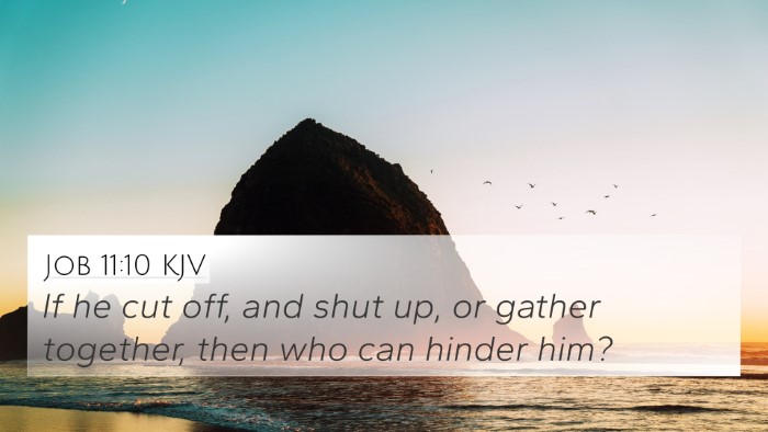 Job 11:10 Explained