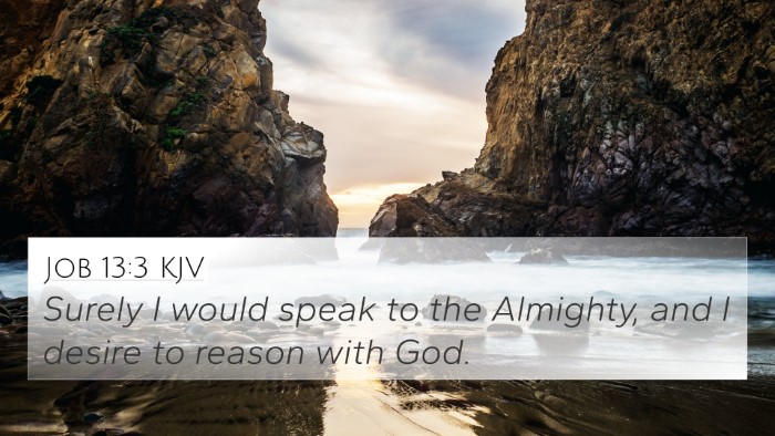 Job 13:3 KJV Bible Verse Image