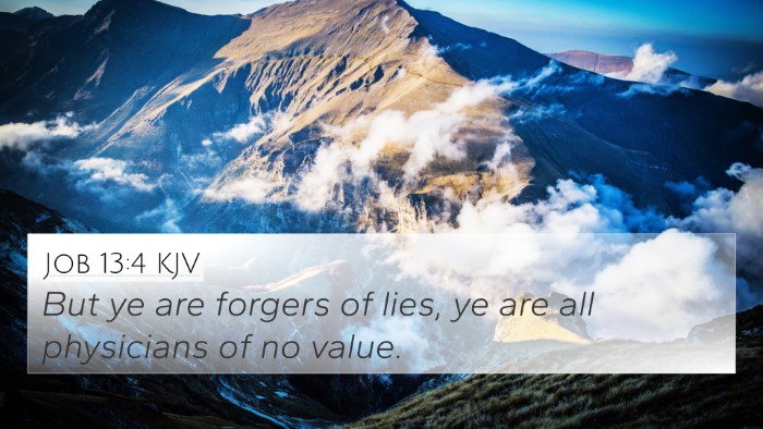 Job 13:4 Explained