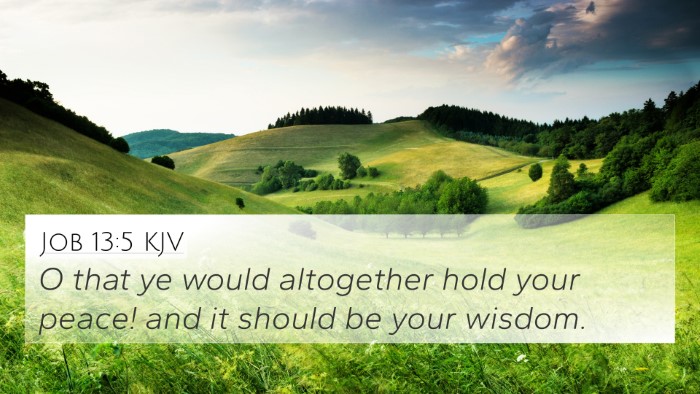 Job 13:5 KJV Bible Verse Image
