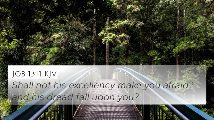 Job 13:11 Explained