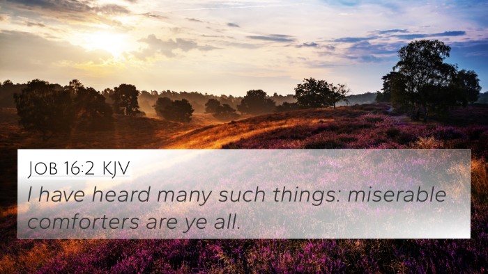 Job 16:2 Explained