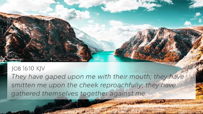 Job 16:10 KJV Bible Verse Image