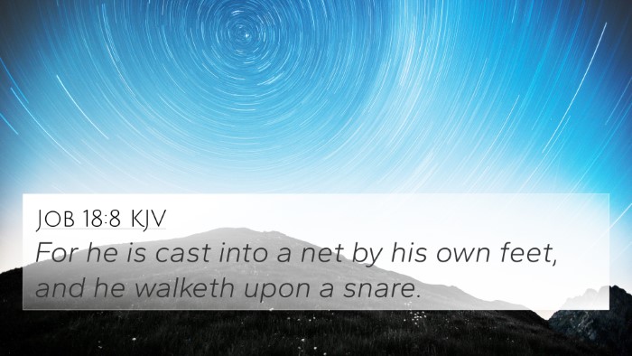 Job 18:8 KJV Bible Verse Image