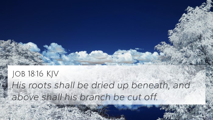 Job 18:16 KJV Bible Verse Image