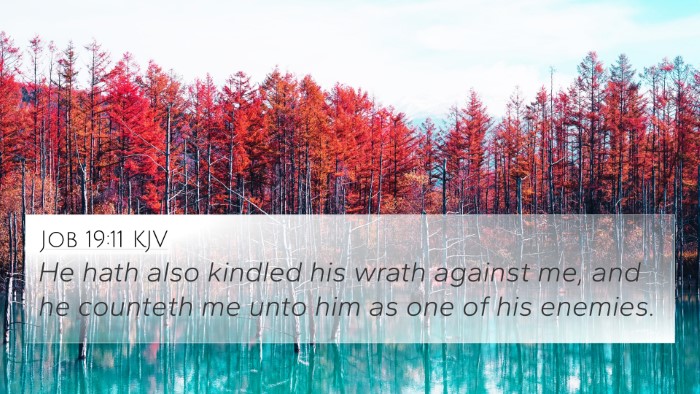 Job 19:11 KJV Bible Verse Image