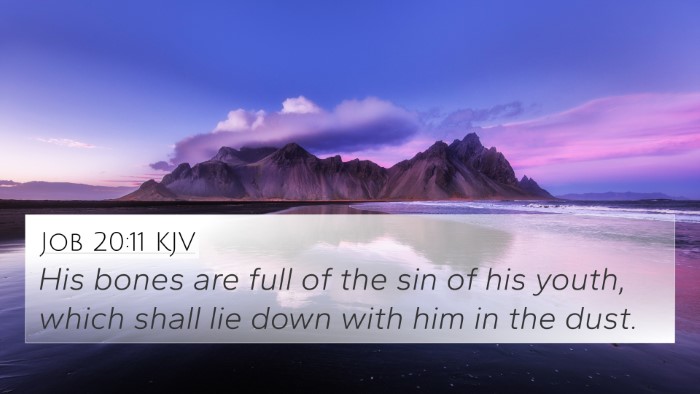 Job 20:11 KJV Bible Verse Image
