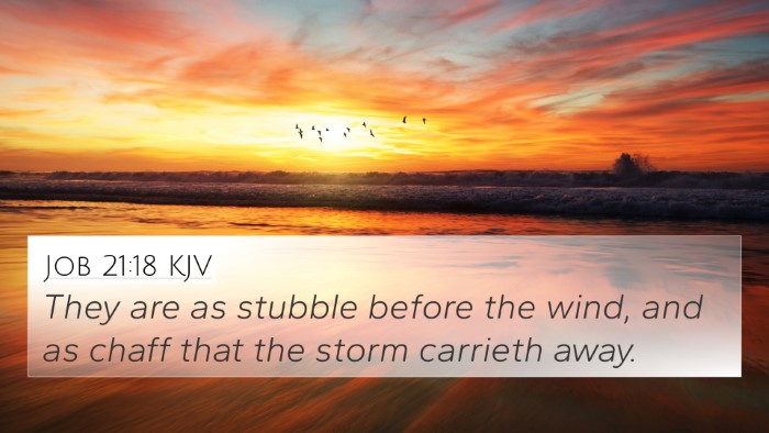 Job 21:18 KJV Bible Verse Image