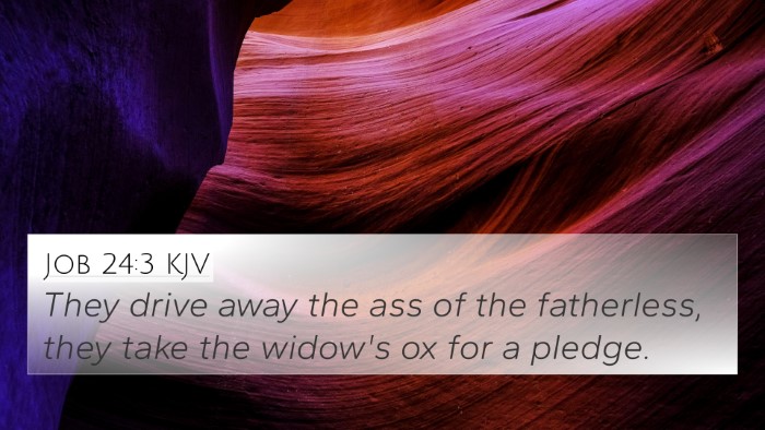 Job 24:3 KJV Bible Verse Image