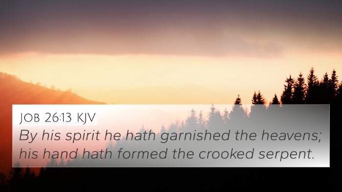 Job 26:13 KJV Bible Verse Image