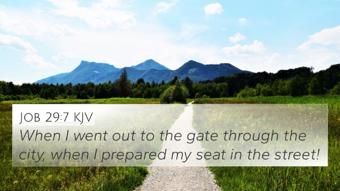 Job 29:7 KJV Bible Verse Image