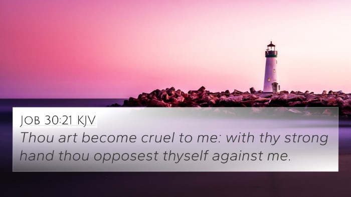 Job 30:21 Explained